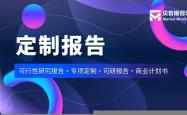 worldcup-2025年羽(yǔ)毛球(qiú)羽(yǔ)毛球(qiú)行业国际国内市場(chǎng)情况与發(fā)展前景(jǐng)分析报告